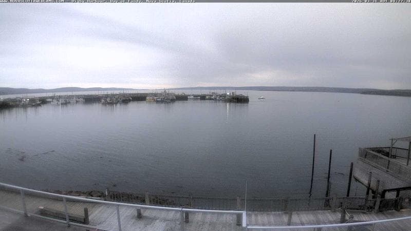 Digby Harbour