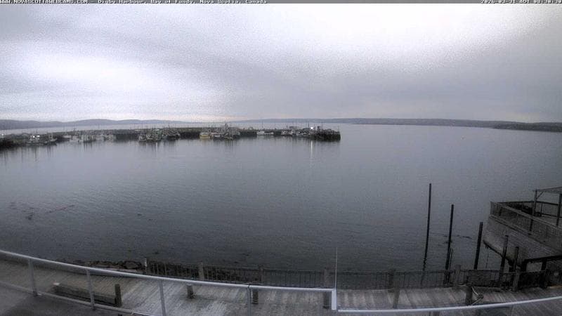 Digby Harbour
