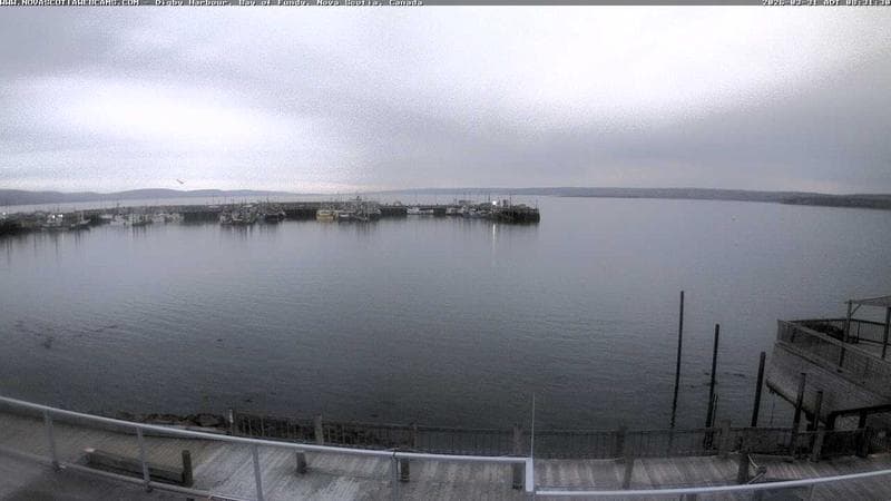 Digby Harbour