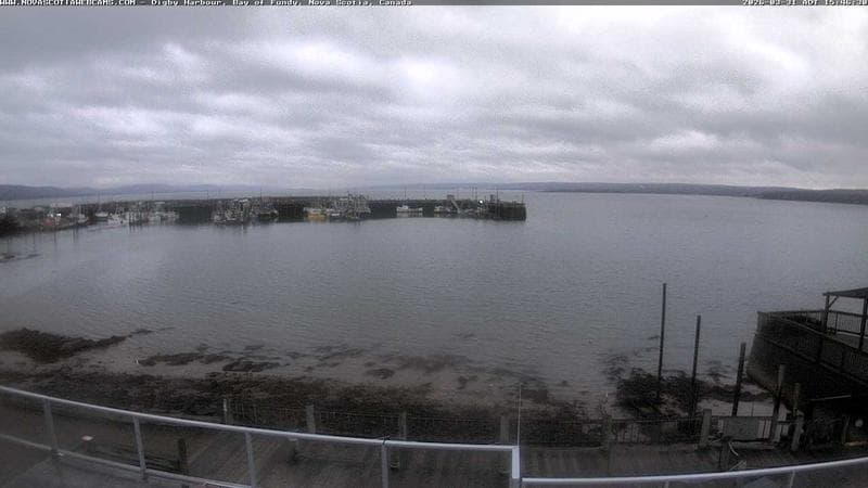 Digby Harbour