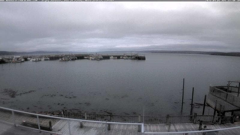 Digby Harbour