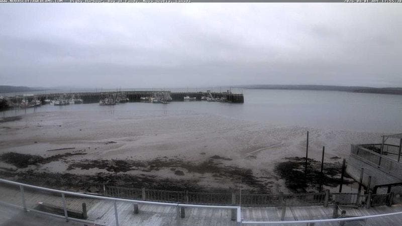 Digby Harbour