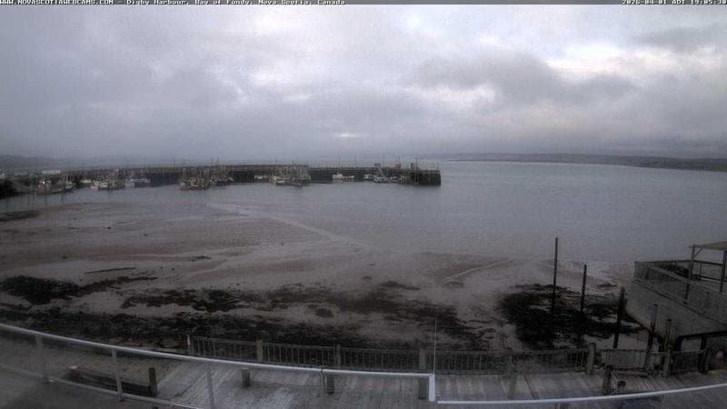 Digby Harbour