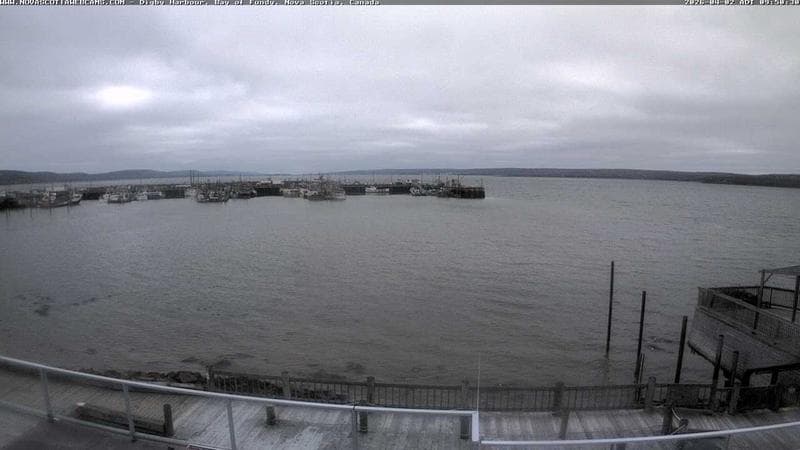 Digby Harbour