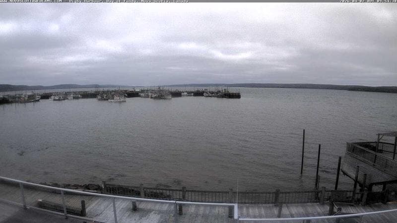 Digby Harbour