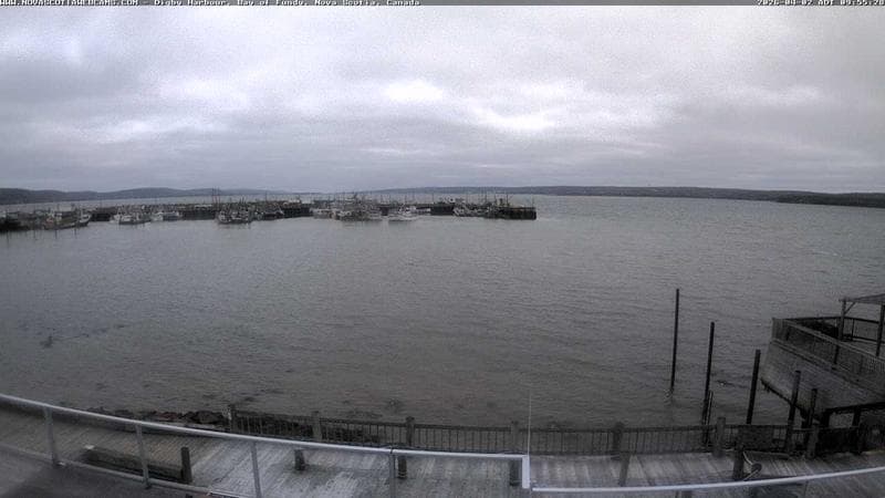 Digby Harbour