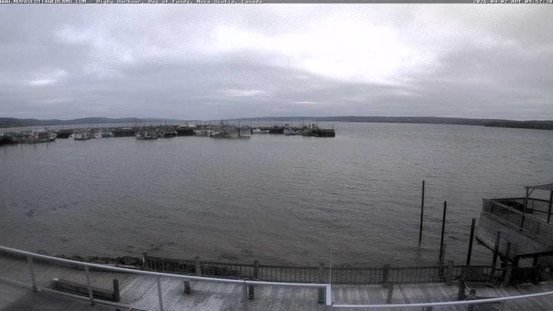 Digby Harbour