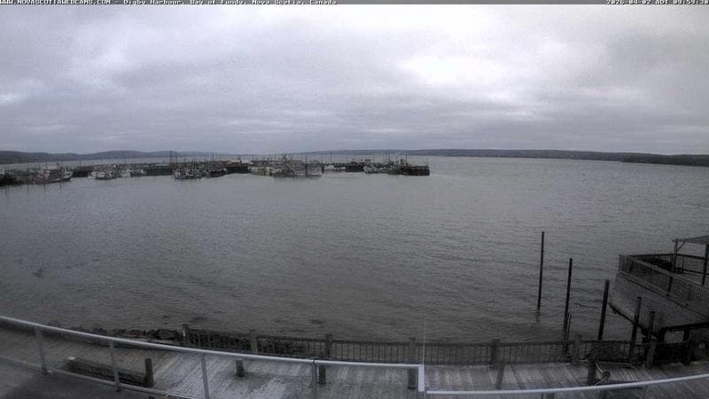 Digby Harbour