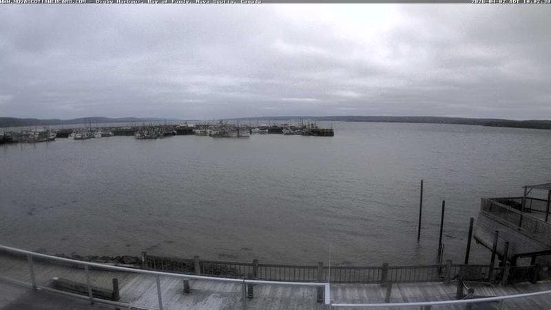 Digby Harbour