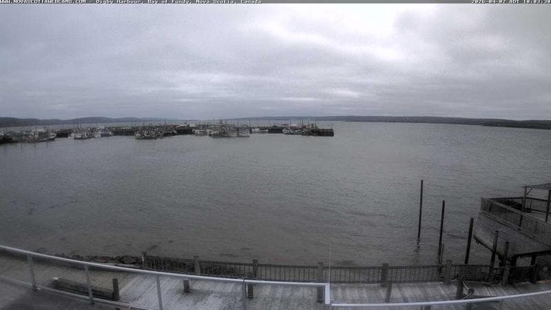 Digby Harbour