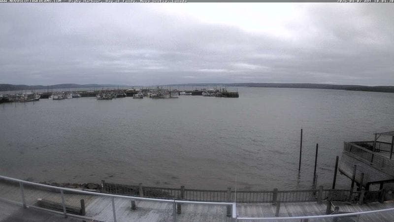 Digby Harbour