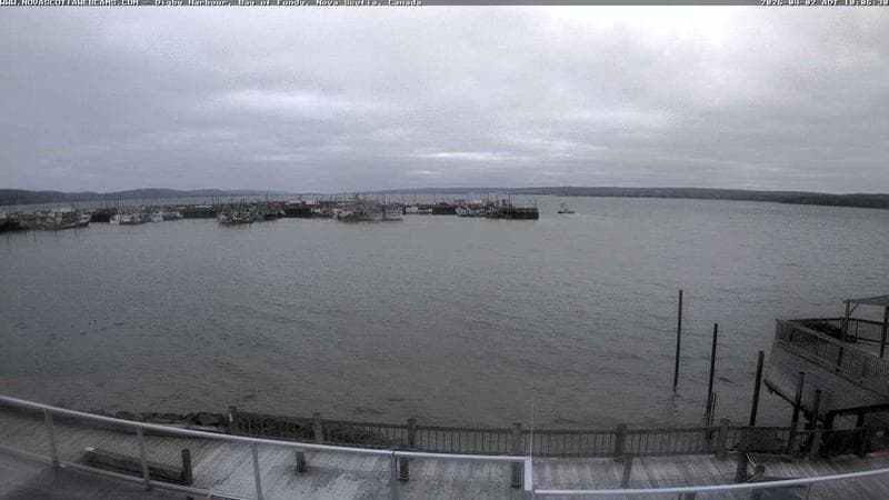 Digby Harbour
