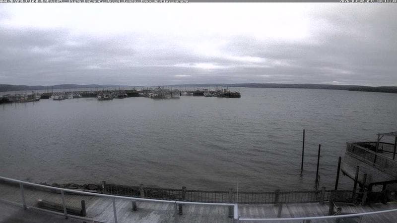 Digby Harbour