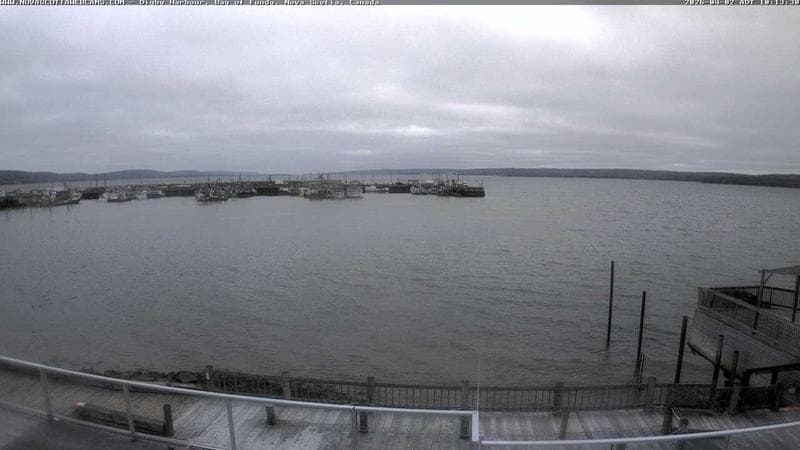 Digby Harbour