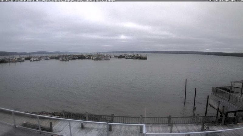 Digby Harbour