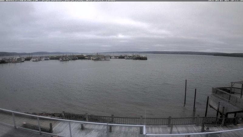 Digby Harbour