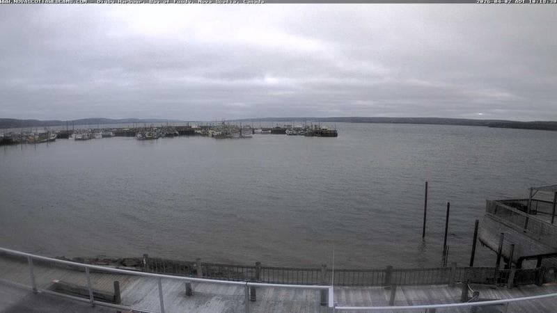 Digby Harbour
