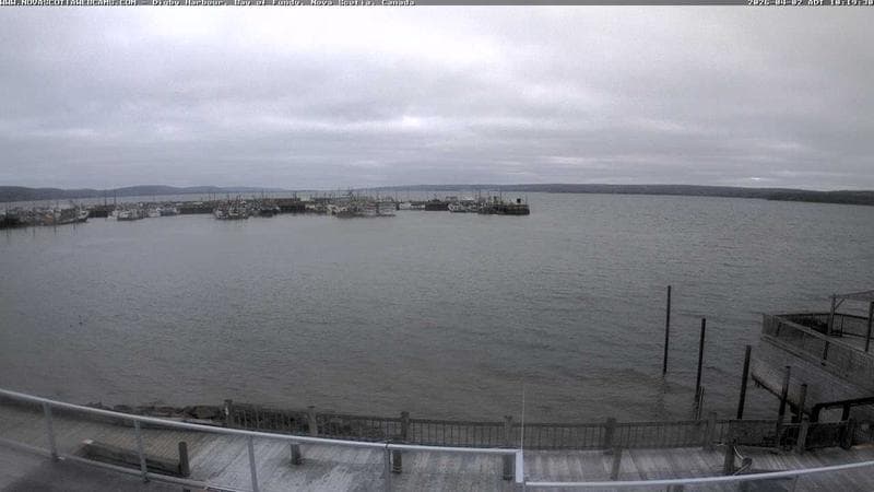 Digby Harbour