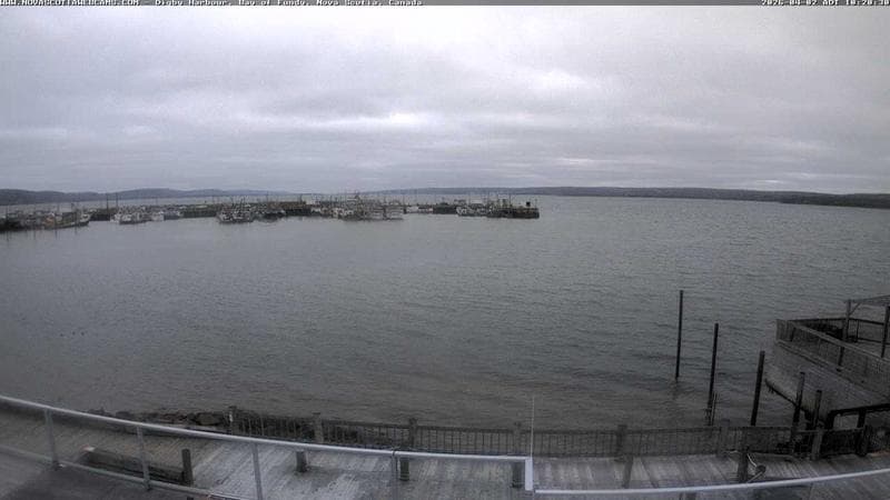 Digby Harbour