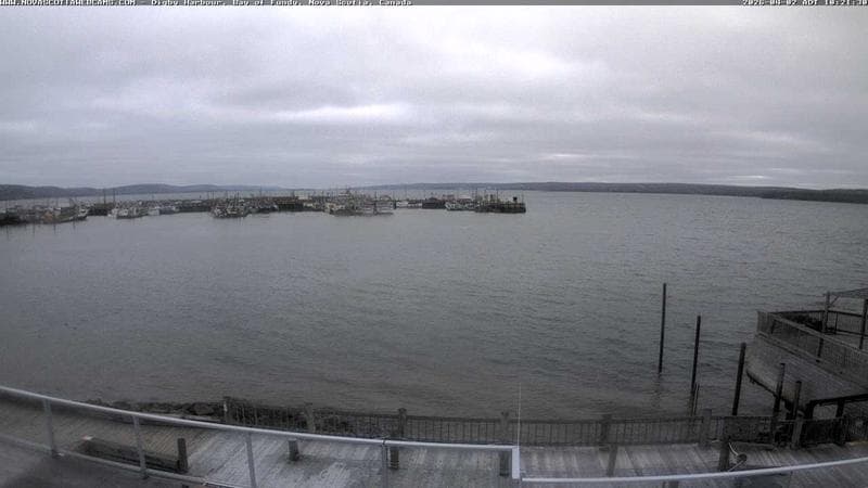 Digby Harbour