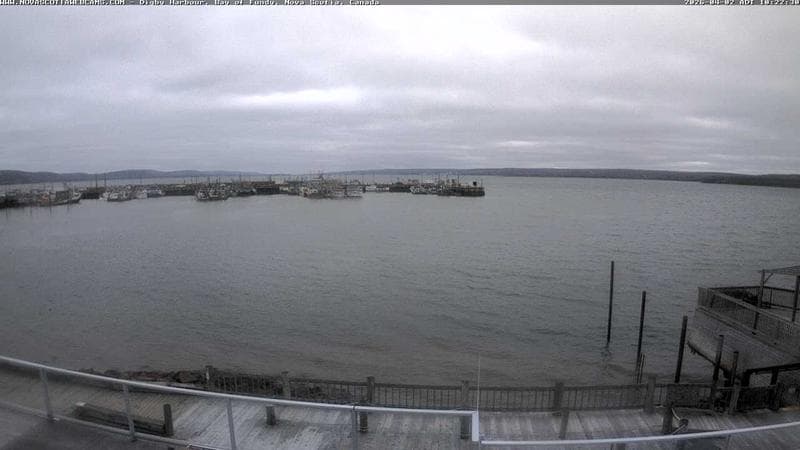 Digby Harbour