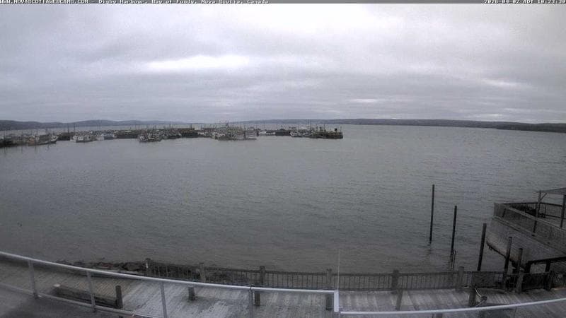 Digby Harbour