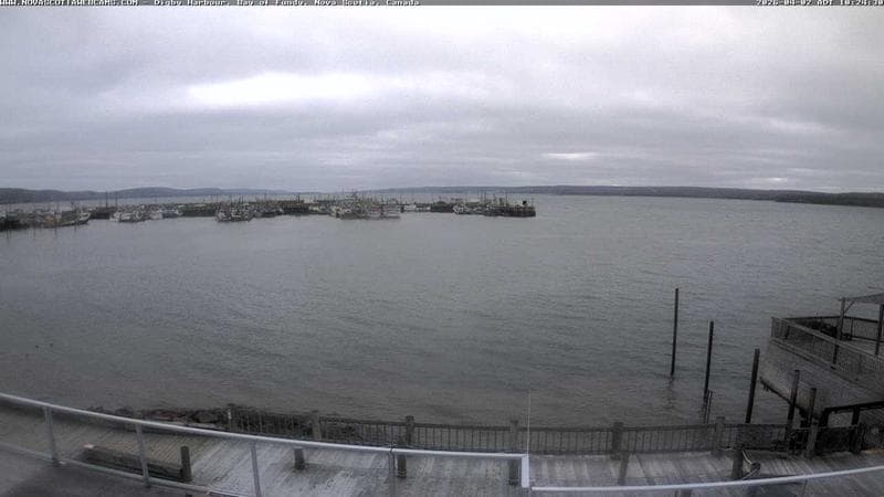 Digby Harbour