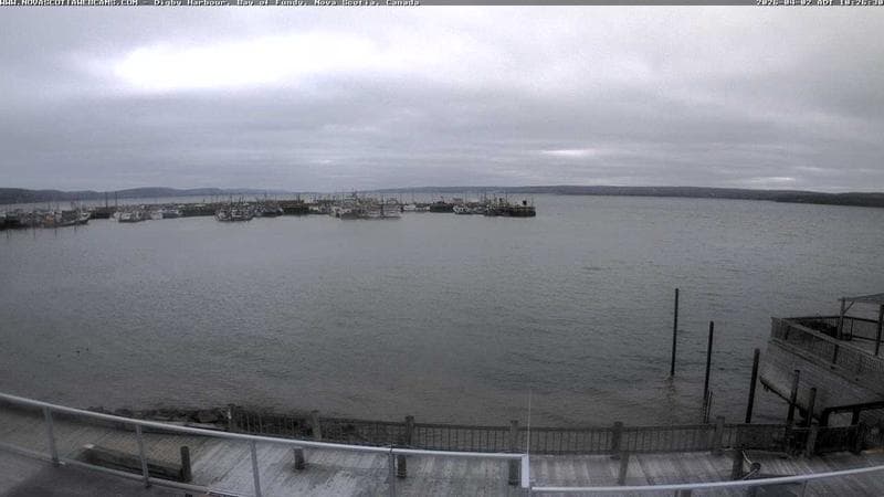 Digby Harbour