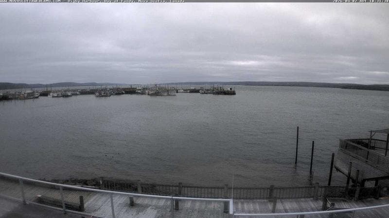 Digby Harbour