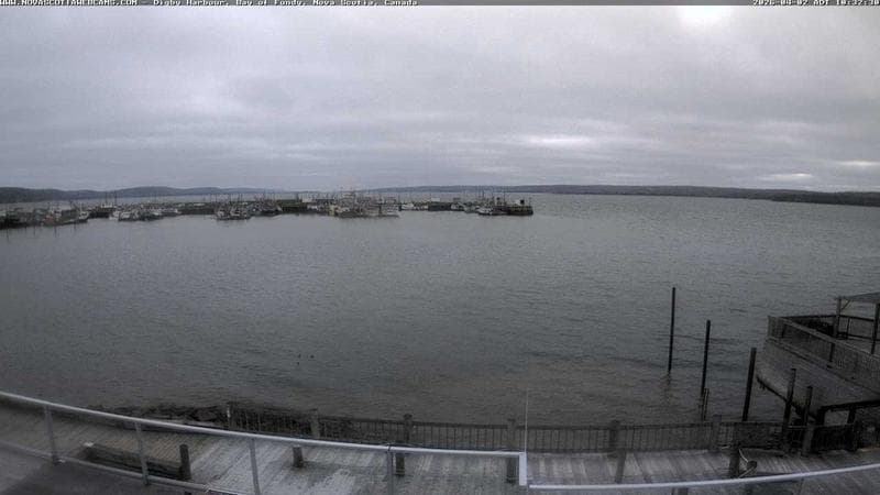 Digby Harbour