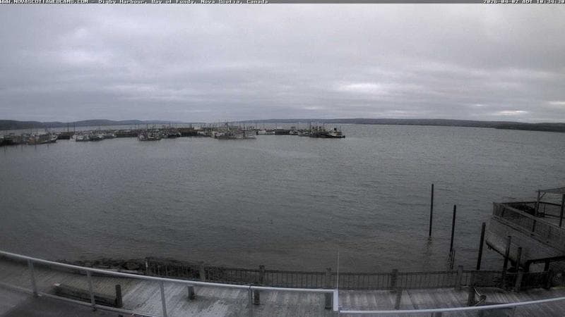 Digby Harbour