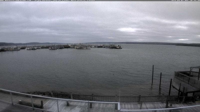 Digby Harbour
