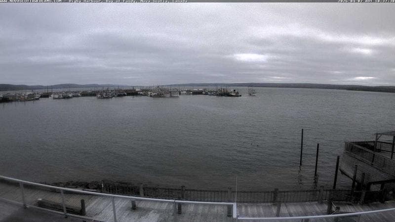 Digby Harbour
