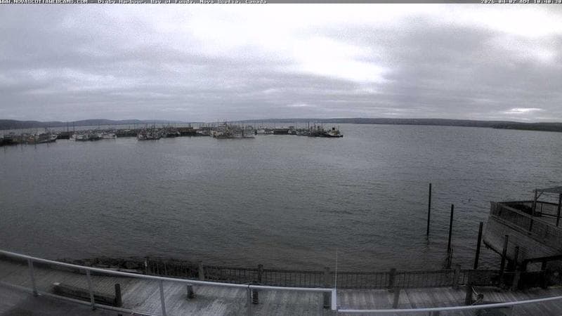 Digby Harbour