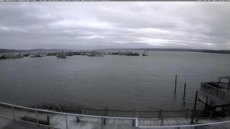 Digby Harbour