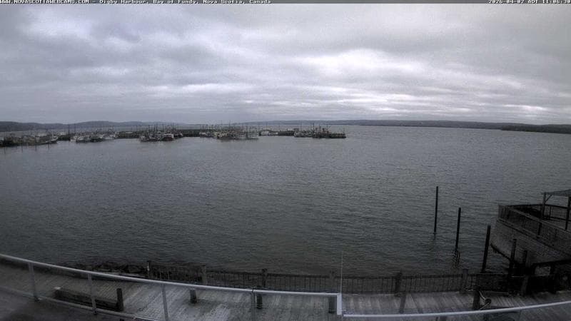 Digby Harbour
