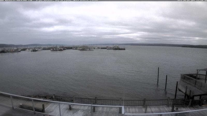 Digby Harbour
