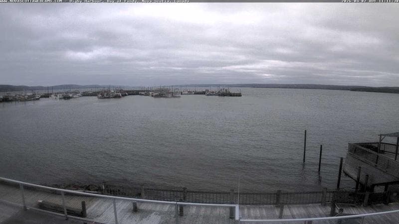 Digby Harbour