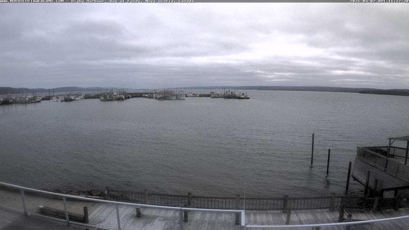 Digby Harbour