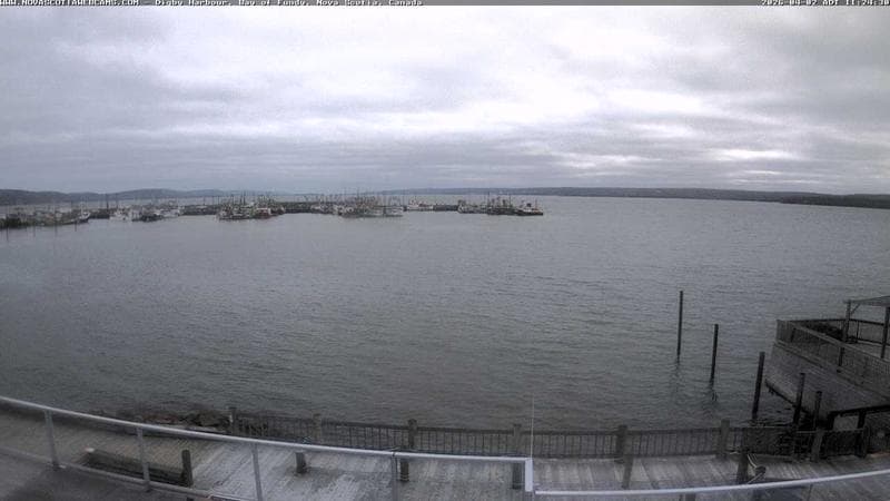 Digby Harbour