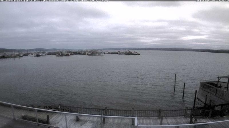 Digby Harbour