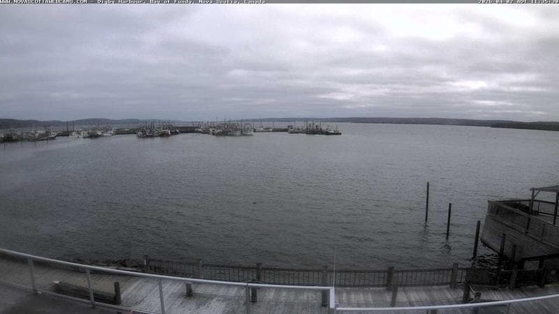 Digby Harbour