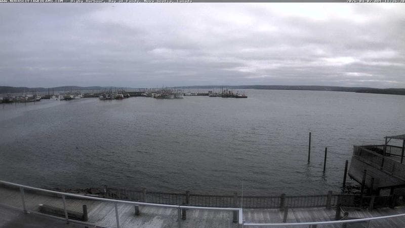Digby Harbour