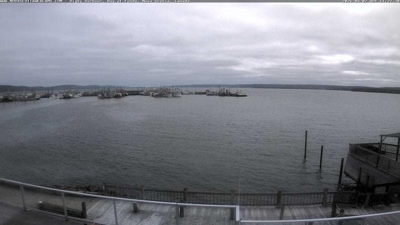 Digby Harbour