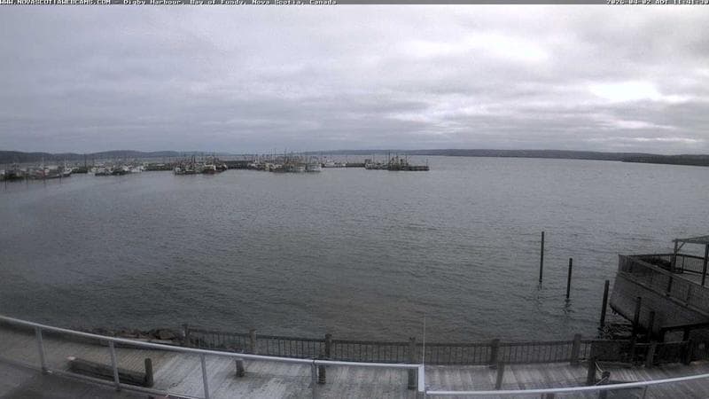 Digby Harbour
