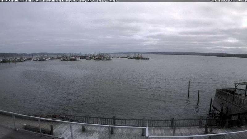 Digby Harbour