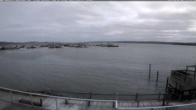 Digby Harbour