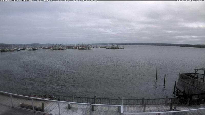 Digby Harbour