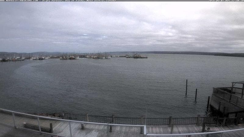Digby Harbour