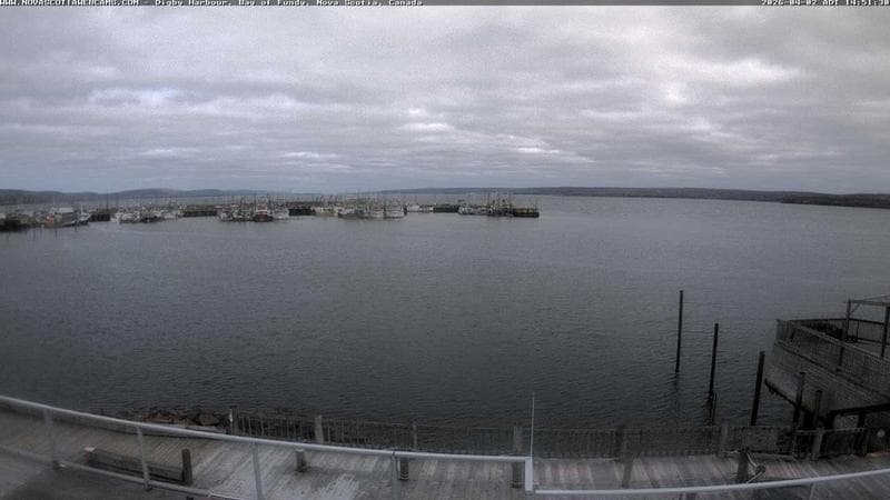 Digby Harbour